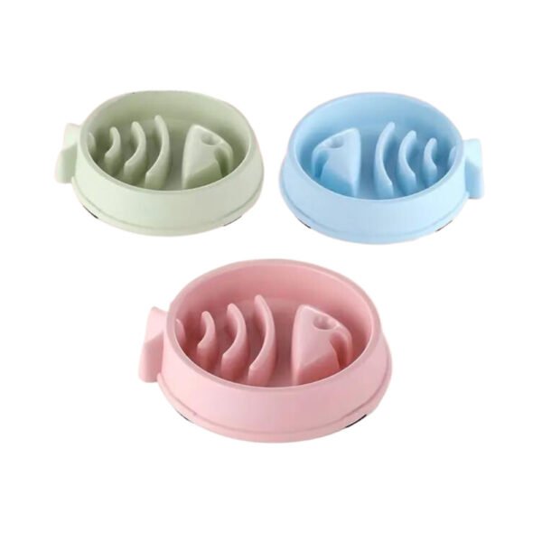 FishTale Bowl