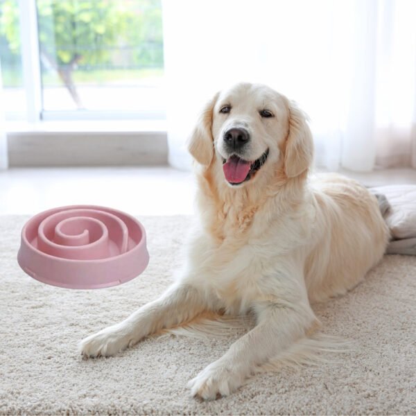 WhirlFeast Bowl - Image 4