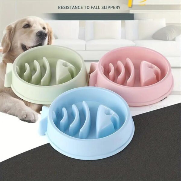 FishTale Bowl - Image 5
