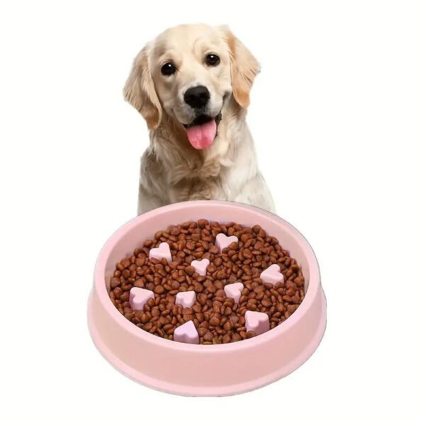 LoveBite Feeder - Image 7